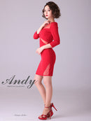 Andy/AN-OK2700/ワンピース/ミニドレス/シースルー/チュール/袖あり
