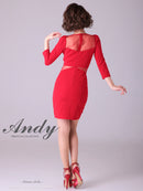 Andy/AN-OK2700/ワンピース/ミニドレス/シースルー/チュール/袖あり