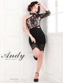 Andy/AN-OK2720/ワンピース/ミニドレス/レース/ワンショルダー/袖あり/左腕/アシンメトリー