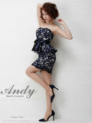 Andy/ナイトドレス/キャバドレス/ドレス/ミニドレス/ワンピース/AN-UK035