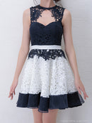 ａｎ/AOC-2741/ナイトドレス/キャバドレス/ドレス/ミニドレス/ワンピース