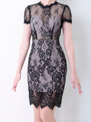 [ワンピースドレス]An|AOC-2955