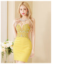 AR23341/ANGELR/エンジェルアール/ミニドレス/タイト/ノースリーブ/ビジュー/キャバドレス/キャバクラ/キャバ嬢/ar