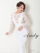 Andy/AN-OK2825/ワンピース/ロングドレス/キャバドレス/切り替え/袖あり/長袖/マーメイド/シアー