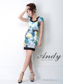 Andy/AN-OK1669/ワンピース/キャバドレス/ミニドレス/プリント/フワラープリント/ビジュー付き/袖あり/ベルト付き