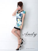Andy/AN-OK1669/ワンピース/キャバドレス/ミニドレス/プリント/フワラープリント/ビジュー付き/袖あり/ベルト付き
