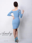 Andy/AN-OK1716/ワンピース/ミニドレス/ワンショルダー/袖あり/長袖/ワンカラー