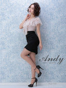 Andy|AN-OK1888ワンピース/ミニドレス/タイトドレス/レース/ツーカラー