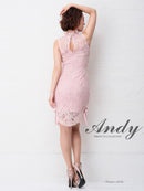 Andy/AN-OK1963/ワンピース/キャバドレス/ミニドレス/総レース/パステルカラー
