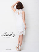 Andy/AN-OK1963/ワンピース/キャバドレス/ミニドレス/総レース/パステルカラー