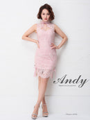 Andy/AN-OK1963/ワンピース/キャバドレス/ミニドレス/総レース/パステルカラー