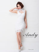 Andy/AN-OK1963/ワンピース/キャバドレス/ミニドレス/総レース/パステルカラー