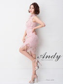 Andy/AN-OK1963/ワンピース/キャバドレス/ミニドレス/総レース/パステルカラー
