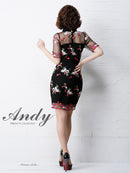 Andy/AN-OK2031/ワンピース/ミニドレス/チュール/花柄/刺繍/リボンブローチ