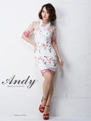 Andy/AN-OK2031/ワンピース/ミニドレス/チュール/花柄/刺繍/リボンブローチ