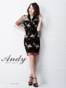 Andy/AN-OK2031/ワンピース/ミニドレス/チュール/花柄/刺繍/リボンブローチ