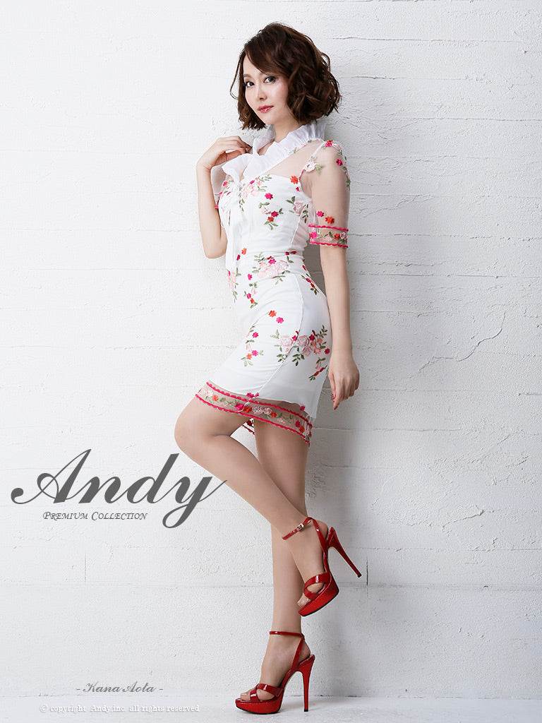 Andy/AN-OK2031/ワンピース/ミニドレス/チュール/花柄/刺繍/リボンブローチ