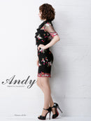 Andy/AN-OK2031/ワンピース/ミニドレス/チュール/花柄/刺繍/リボンブローチ