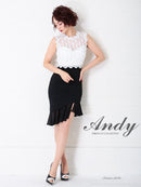 Andy/AN-OK2249/ワンピース/レース/キャバドレス/タイトワンピース/切替ワンピース