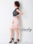Andy/AN-OK2249/ワンピース/レース/キャバドレス/タイトワンピース/切替ワンピース