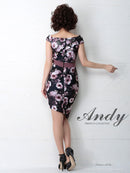 Andy/AN-OK2282/ワンピース/キャバドレス/ミニドレス/フラワープリント/ウエストリボン
