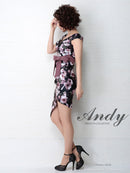 Andy/AN-OK2282/ワンピース/キャバドレス/ミニドレス/フラワープリント/ウエストリボン