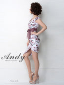 Andy/AN-OK2282/ワンピース/キャバドレス/ミニドレス/フラワープリント/ウエストリボン
