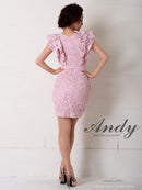 Andy/AN-OK2299/ワンピース/ミニドレス/総レース/フリル/ウエストリボン/ワンカラー