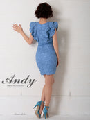 Andy/AN-OK2299/ワンピース/ミニドレス/総レース/フリル/ウエストリボン/ワンカラー