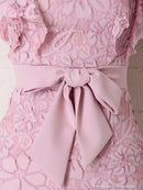 Andy/AN-OK2299/ワンピース/ミニドレス/総レース/フリル/ウエストリボン/ワンカラー