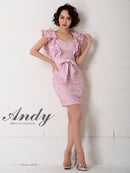 Andy/AN-OK2299/ワンピース/ミニドレス/総レース/フリル/ウエストリボン/ワンカラー