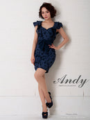 Andy/AN-OK2299/ワンピース/ミニドレス/総レース/フリル/ウエストリボン/ワンカラー