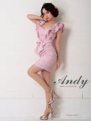 Andy/AN-OK2299/ワンピース/ミニドレス/総レース/フリル/ウエストリボン/ワンカラー