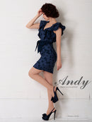 Andy/AN-OK2299/ワンピース/ミニドレス/総レース/フリル/ウエストリボン/ワンカラー