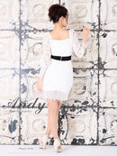 Andy/AN-OK2322/ワンピース/ミニドレス/総レース/ウエストリボン/袖あり