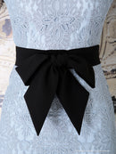 Andy/AN-OK2322/ワンピース/ミニドレス/総レース/ウエストリボン/袖あり