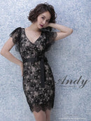 Andy/AN-OK2333/ワンピース/ミニドレス/総レース/ウエストリボン