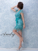 Andy/AN-OK2333/ワンピース/ミニドレス/総レース/ウエストリボン