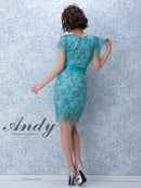 Andy/AN-OK2333/ワンピース/ミニドレス/総レース/ウエストリボン