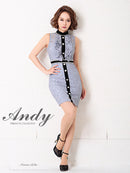 Andy/AN-OK2364/タイトワンピース/キャバドレス/総レース/ミニ