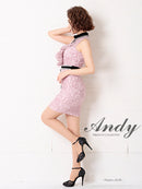 Andy/AN-OK2364/タイトワンピース/キャバドレス/総レース/ミニ