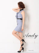 Andy/AN-OK2364/タイトワンピース/キャバドレス/総レース/ミニ