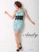 Andy/AN-OK2410/ワンピース/ドレス/ナイトドレス/ミニドレス/キャバドレス/レース