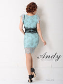 Andy/AN-OK2410/ワンピース/ドレス/ナイトドレス/ミニドレス/キャバドレス/レース