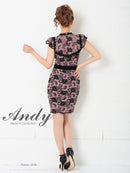 Andy/AN-OK2499/ワンピース/ドレス/ナイトドレス/ミニドレス/キャバドレス/レース/ウエストリボン