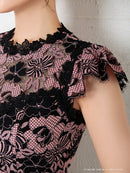 Andy/AN-OK2499/ワンピース/ドレス/ナイトドレス/ミニドレス/キャバドレス/レース/ウエストリボン