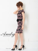 Andy/AN-OK2499/ワンピース/ドレス/ナイトドレス/ミニドレス/キャバドレス/レース/ウエストリボン