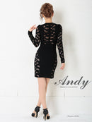 Andy/AN-OK2500/ワンピース/ミニドレス/ワンカラー/レース/タイトワンピース/袖あり/長袖