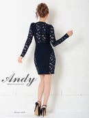 Andy/AN-OK2500/ワンピース/ミニドレス/ワンカラー/レース/タイトワンピース/袖あり/長袖
