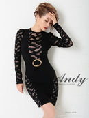 Andy/AN-OK2500/ワンピース/ミニドレス/ワンカラー/レース/タイトワンピース/袖あり/長袖
